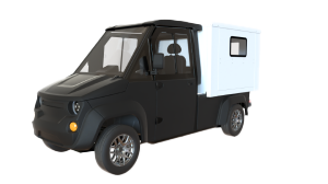 Delivery and Cargo UTV