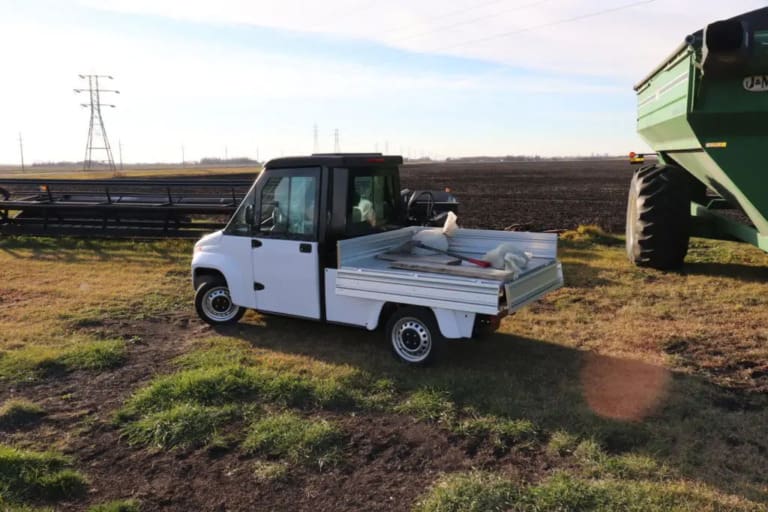 electric utility carts