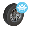 Winter Grip Tires